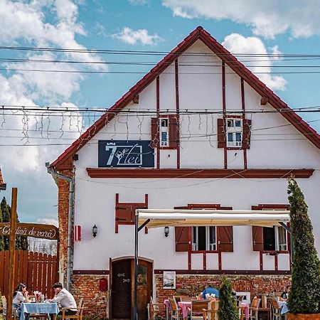 Pensiunea 7 Tei Cisnădioara Exterior foto