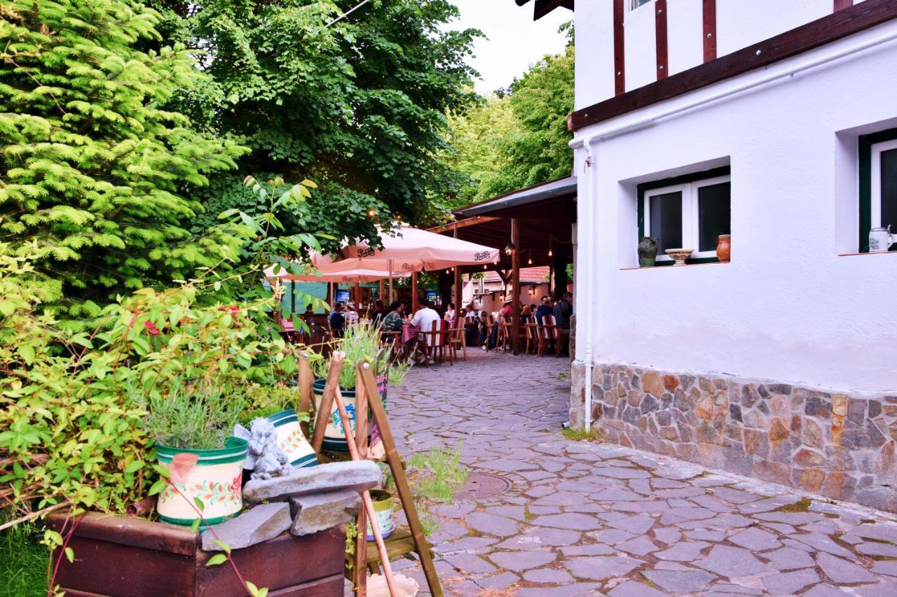 Pensiunea 7 Tei Cisnădioara Exterior foto